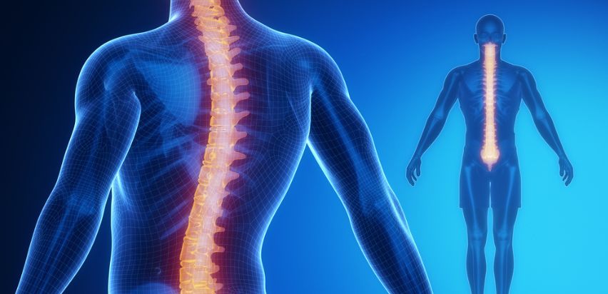 Slipped (Herniated) Disc - Causes and Symptoms